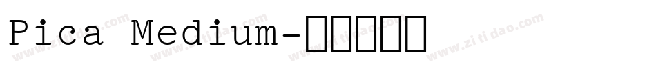 Pica Medium字体转换